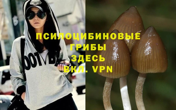 таблы Алексеевка